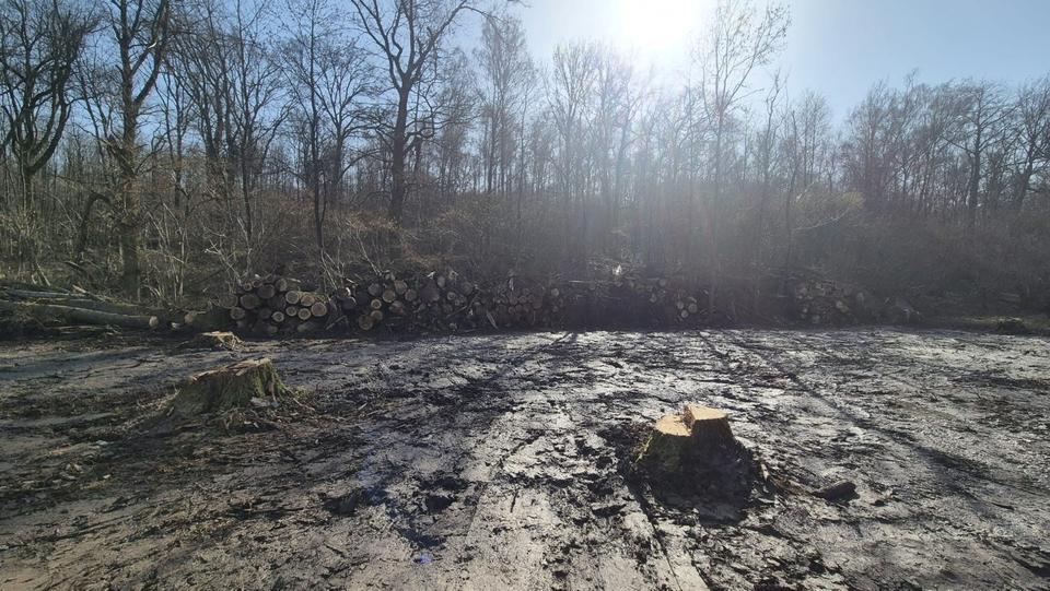 Einfamilienhaus Rosbach vor der Höhe - 15.000&euro; | Angebot:25378496