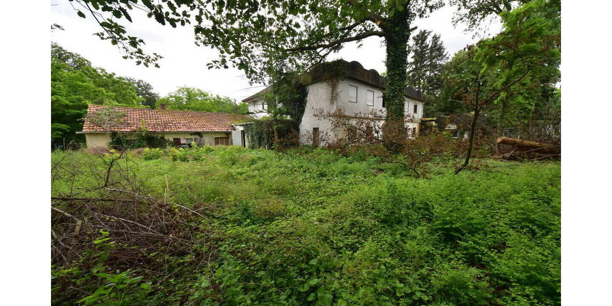 Gewerbeobjekt Babenhausen - 495.000&euro; | Angebot:25693330