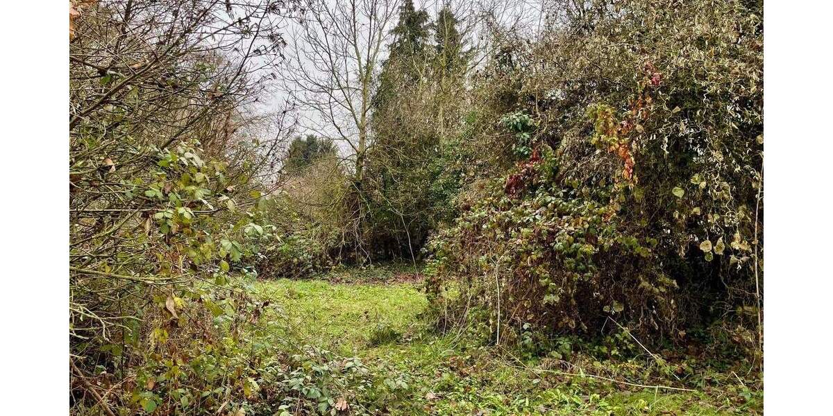 Einfamilienhaus Niddatal / Assenheim Assenheim - 5 Zimmer, 140 m&sup2;, 309.000&euro; | Angebot:25770246