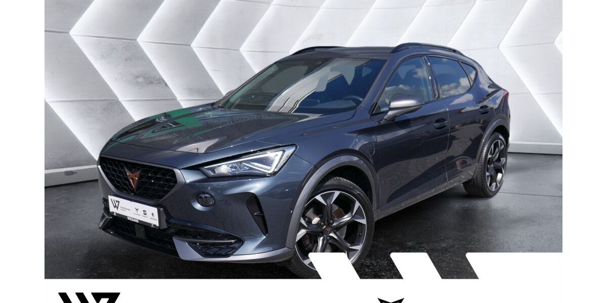 Cupra Formentor 50.283 km 23.907 &euro; Gelnhausen 63571