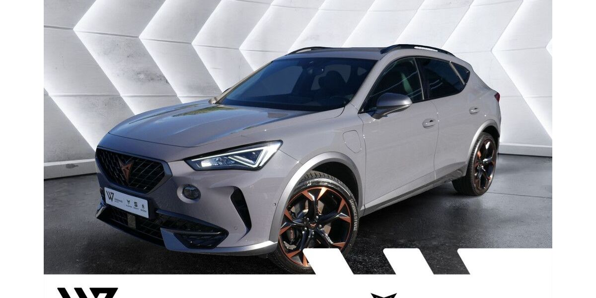 Cupra Formentor 65.296 km 22.794 &euro; Gelnhausen 63571