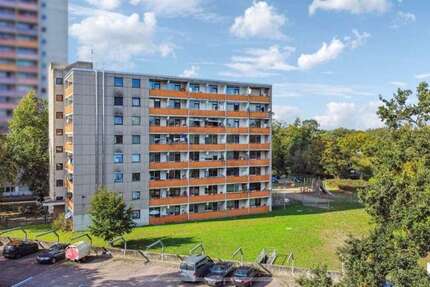 Wohnung Offenbach Buchrain - 2 Zimmer, 57 m&sup2;, 850&euro; | Angebot:26641559