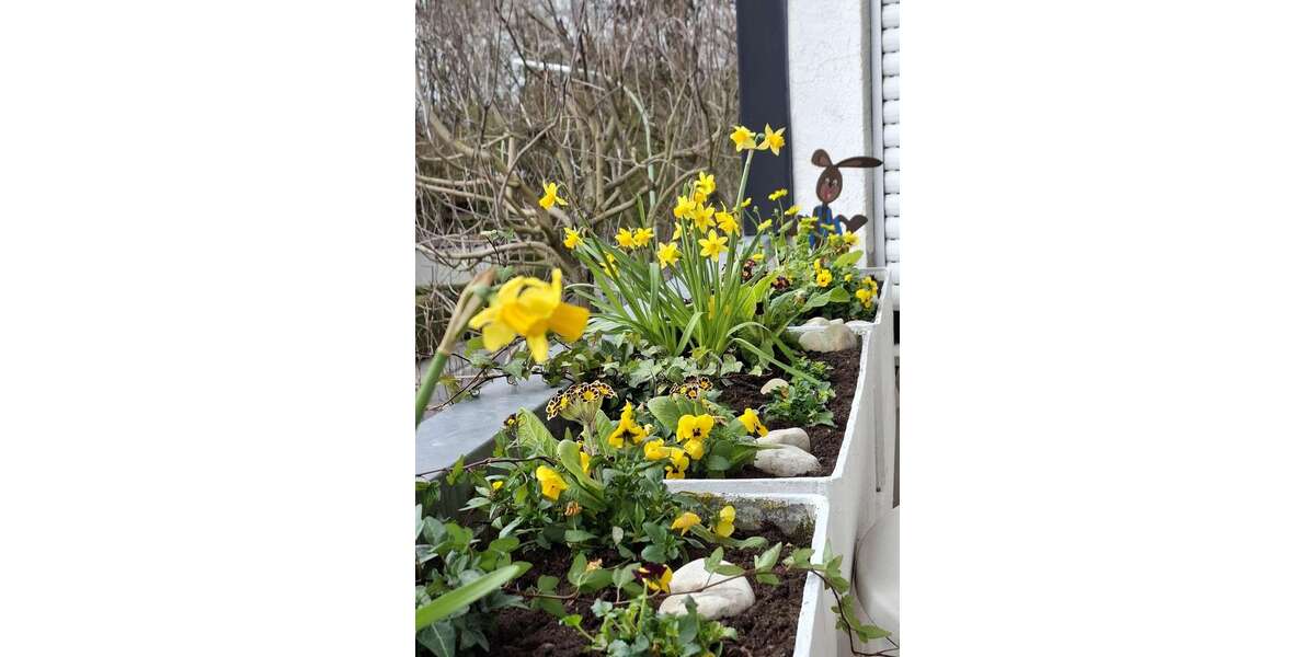 Etagenwohnung Friedrichsdorf-Burgholzh. Burgholzh. - 1 Zimmer, 51 m&sup2;, 620&euro; | Angebot:25941589