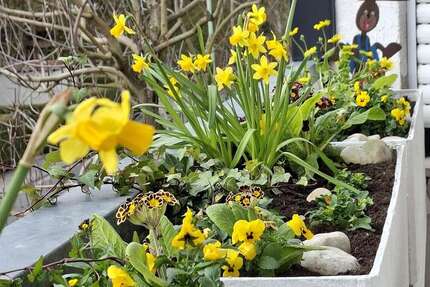 Wohnung Friedrichsdorf-Burgholzh. Burgholzh. - 1 Zimmer, 51 m&sup2;, 620&euro; | Angebot:25941589