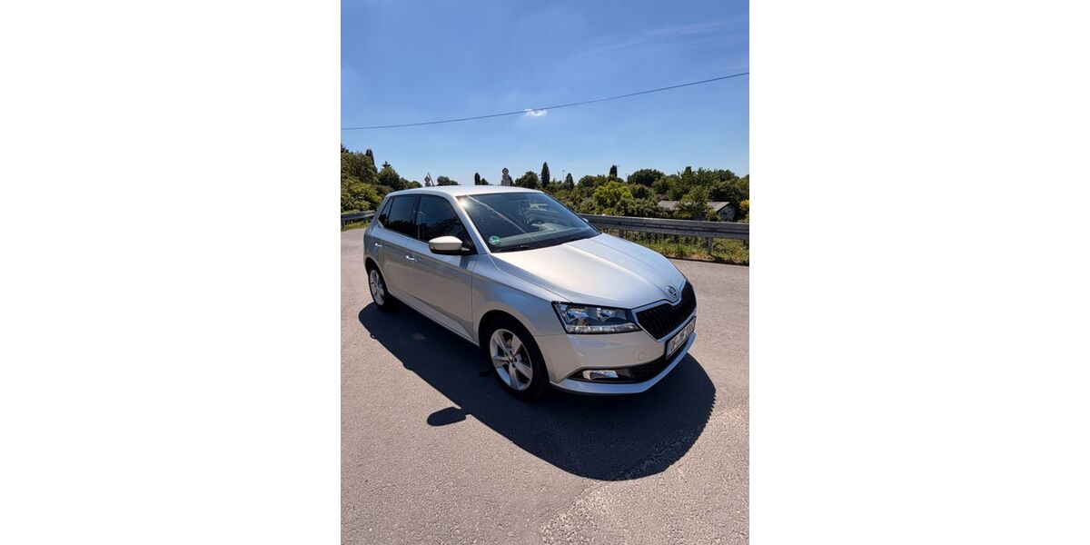 Skoda Fabia 74.300 km 8.990 &euro; Offenbach 63075