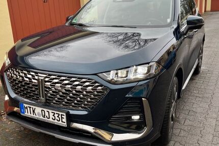 GWM Wey 03 6.100 km 30.790 &euro; Eschborn 65760