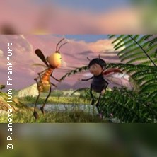 Das Geheimnis der Bäume 06.04.2026 Planetarium Frankfurt