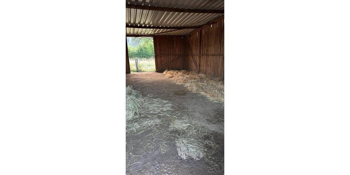 Bauernhaus, Landhaus Limeshain - 4 Zimmer, 112 m&sup2;, 439.000&euro; | Angebot:26578037