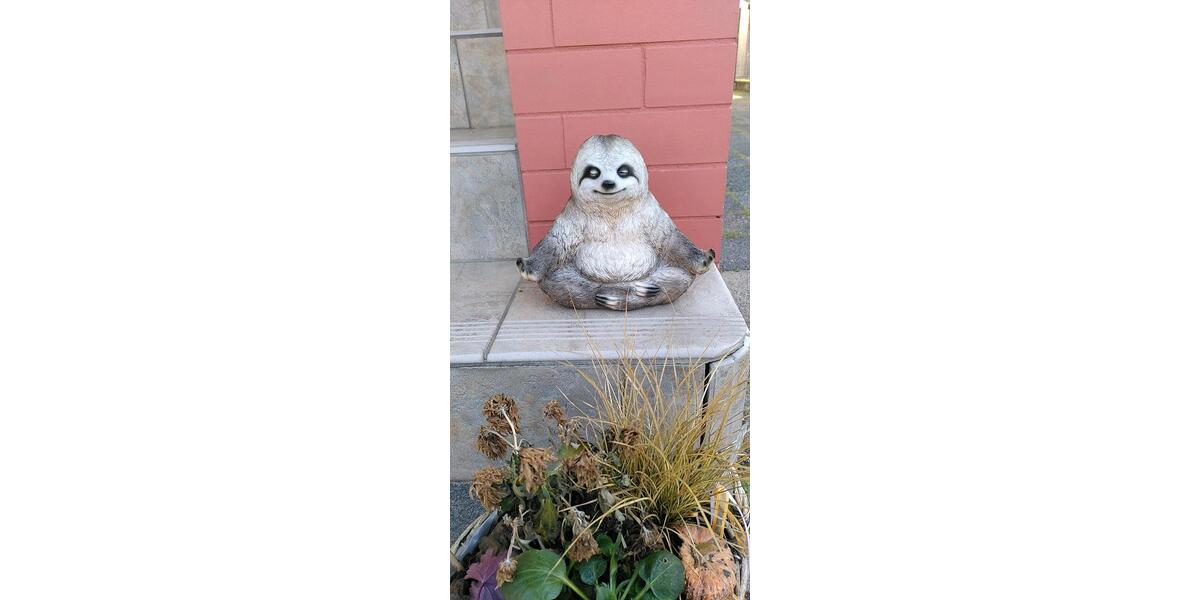 Etagenwohnung Seligenstadt - 4 Zimmer, 1.200 m&sup2;, 500&euro; | Angebot:25431439