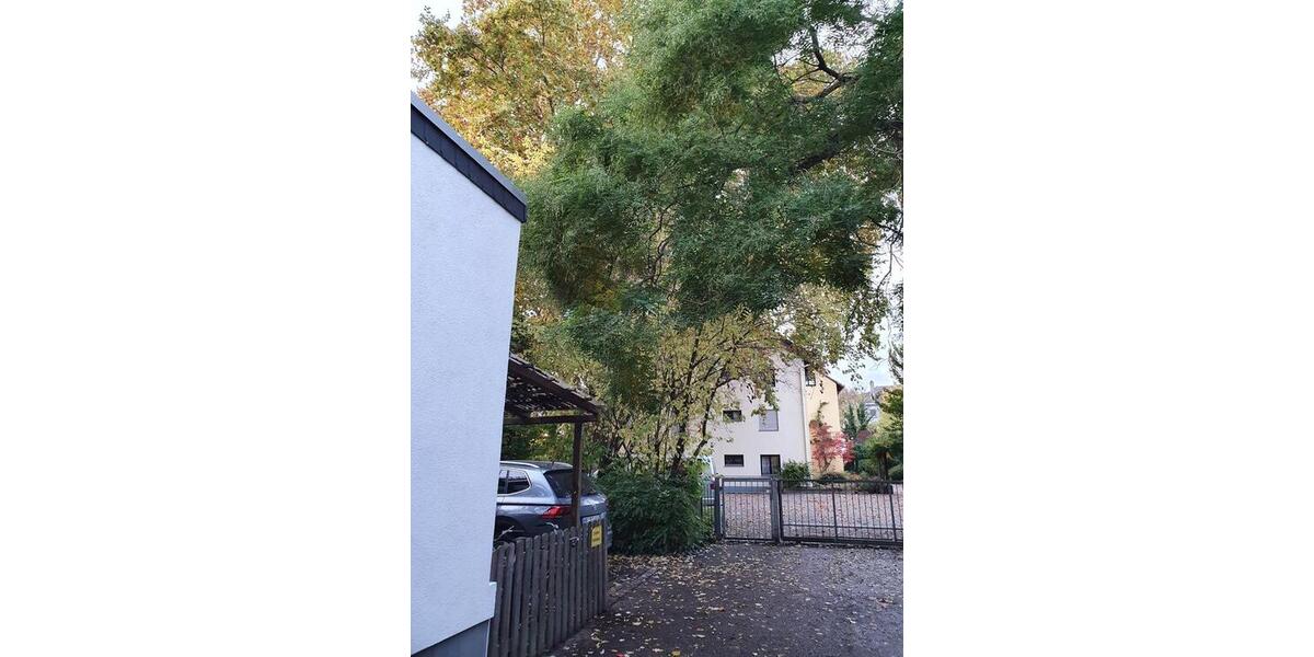 Etagenwohnung Frankfurt am Main Rödelheim - 2 Zimmer, 35 m&sup2;, 550&euro; | Angebot:25876455