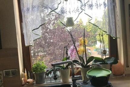 Wohnung Hammersbach - 3 Zimmer, 110 m&sup2;, 1.100&euro; | Angebot:25025013