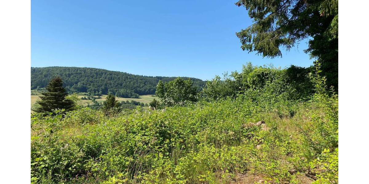 Grundstück Biebergemünd Bieber - 165.000&euro; | Angebot:25740826