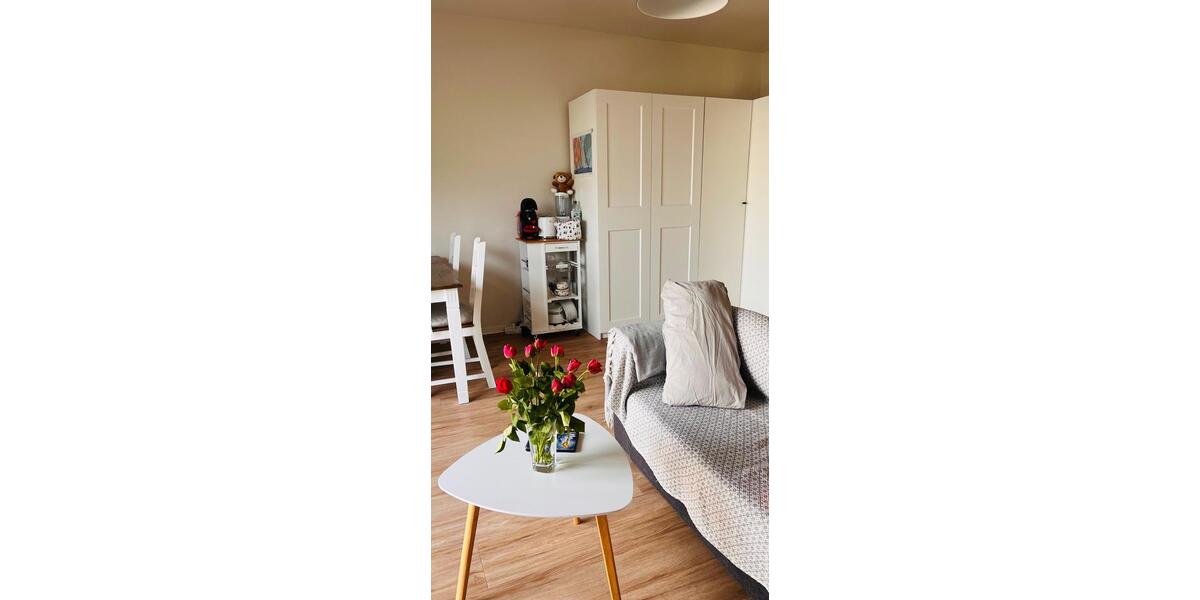 Etagenwohnung Offenbach am Main Hafen - 1 Zimmer, 32 m&sup2;, 900&euro; | Angebot:25964091