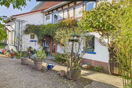 Haus Messel - 6.5 Zimmer, 163 m&sup2;, 580.000&euro; | Angebot:25476020