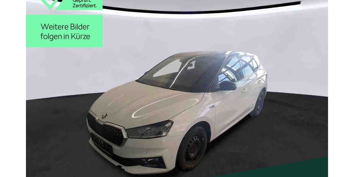 Skoda Fabia 38.000 km 18.999 &euro; Mühlheim 63165