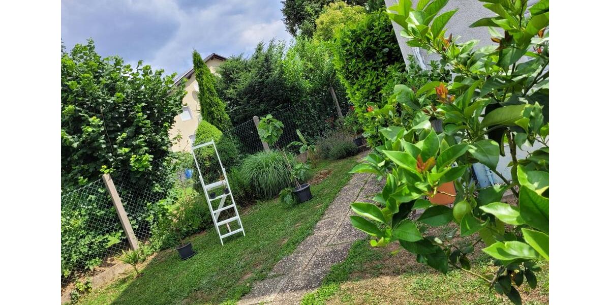 Einfamilienhaus Florstadt - 6 Zimmer, 190 m&sup2;, 489.000&euro; | Angebot:25646502