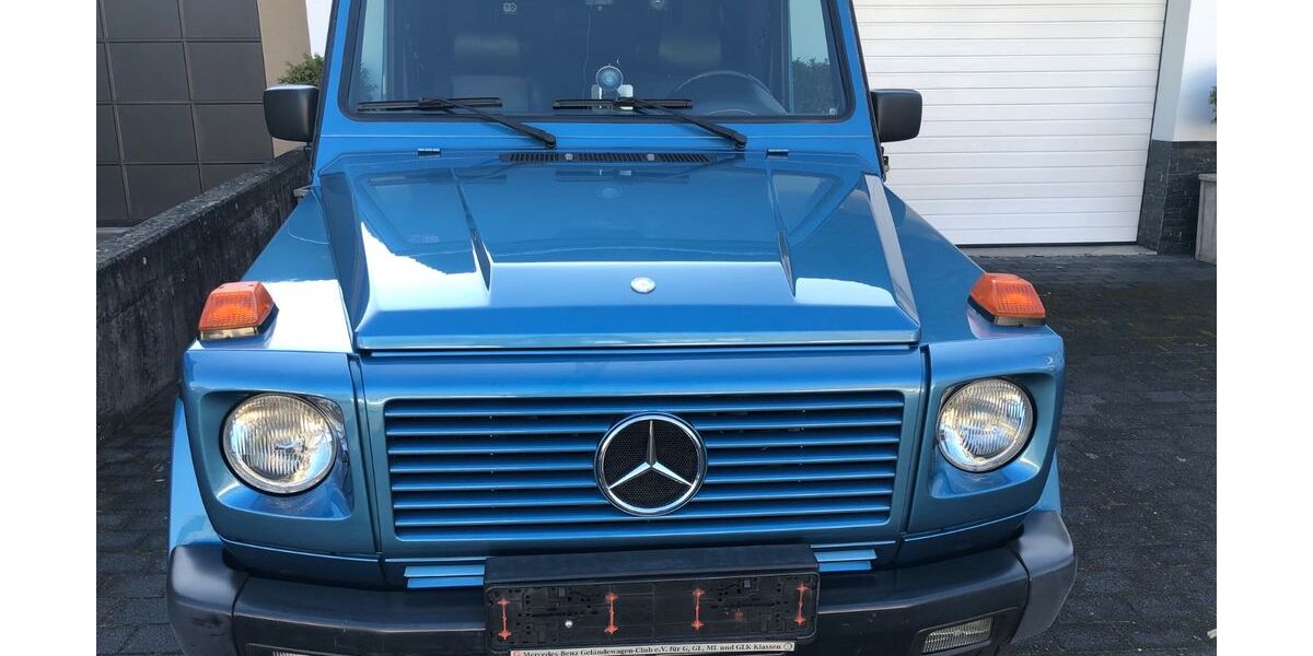Mercedes-Benz G 300 299.000 km 42.000 &euro; Goldbach 63773