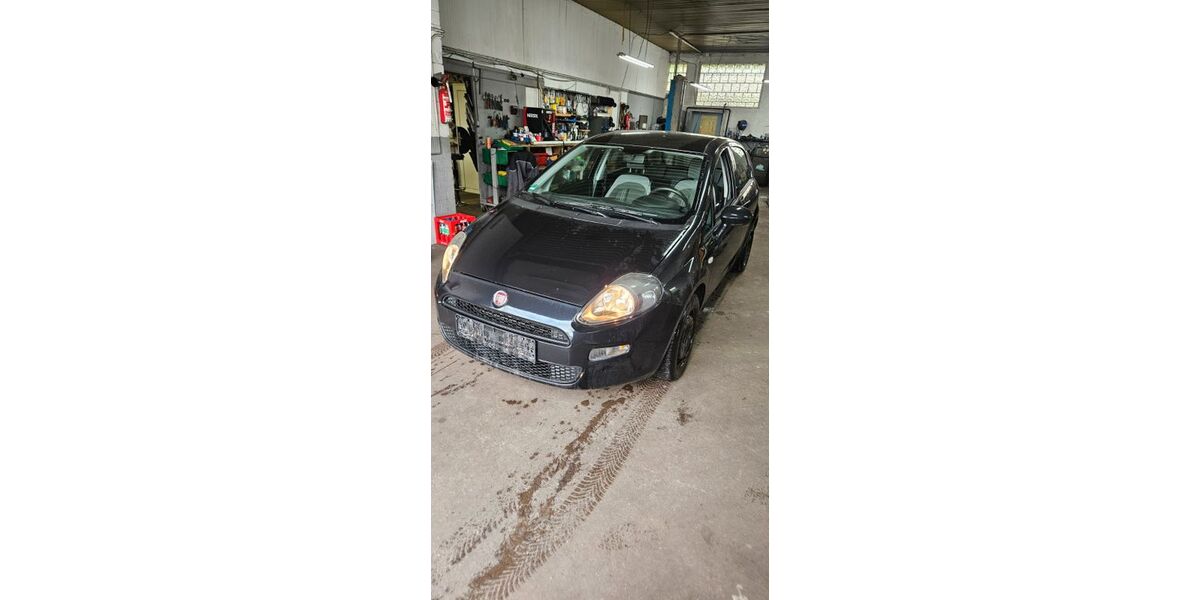 Fiat Punto 113.082 km 3.499 &euro; Dietzenbach 63128
