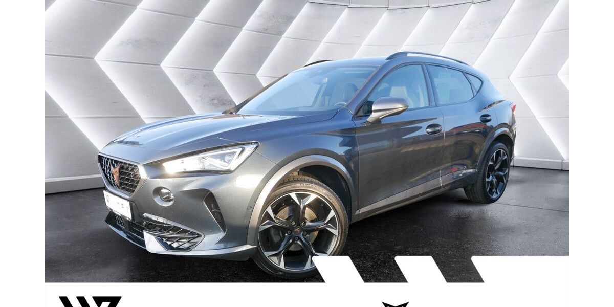 Cupra Formentor 107.112 km 22.305 &euro; Büdingen-Düdelsheim 63654