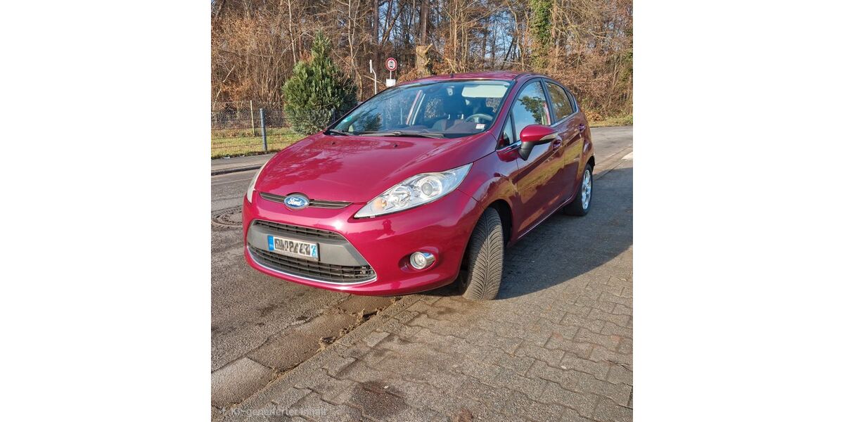 Ford Fiesta 127.580 km 4.430 &euro; Eppertshausen 64859