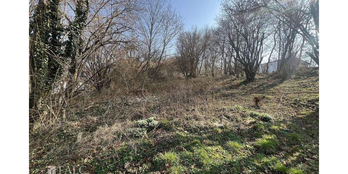 Grundstück Westerngrund - 147.500&euro; | Angebot:25678112