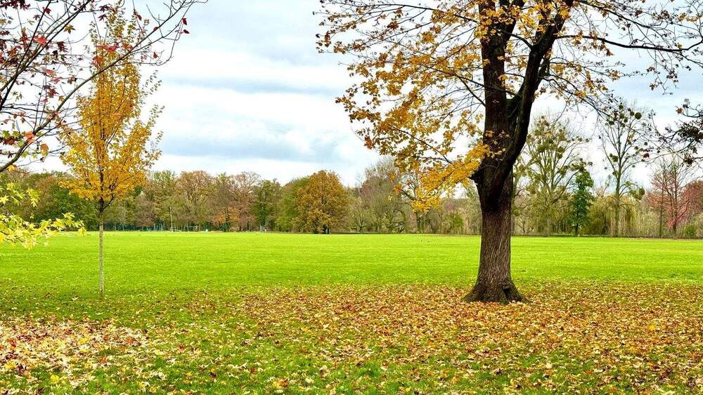 Etagenwohnung Frankfurt am Main Ostend - 3 Zimmer, 100 m&sup2;, 598.000&euro; | Angebot:25657111