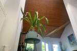 Reihenmittelhaus Neu-Isenburg Isenburg - 6 Zimmer, 163 m&sup2;, 679.885&euro; | Angebot:25778545