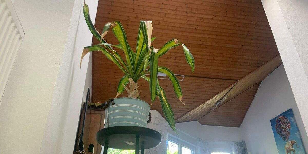 Reihenmittelhaus Neu-Isenburg Isenburg - 6 Zimmer, 163 m&sup2;, 685.000&euro; | Angebot:25778545