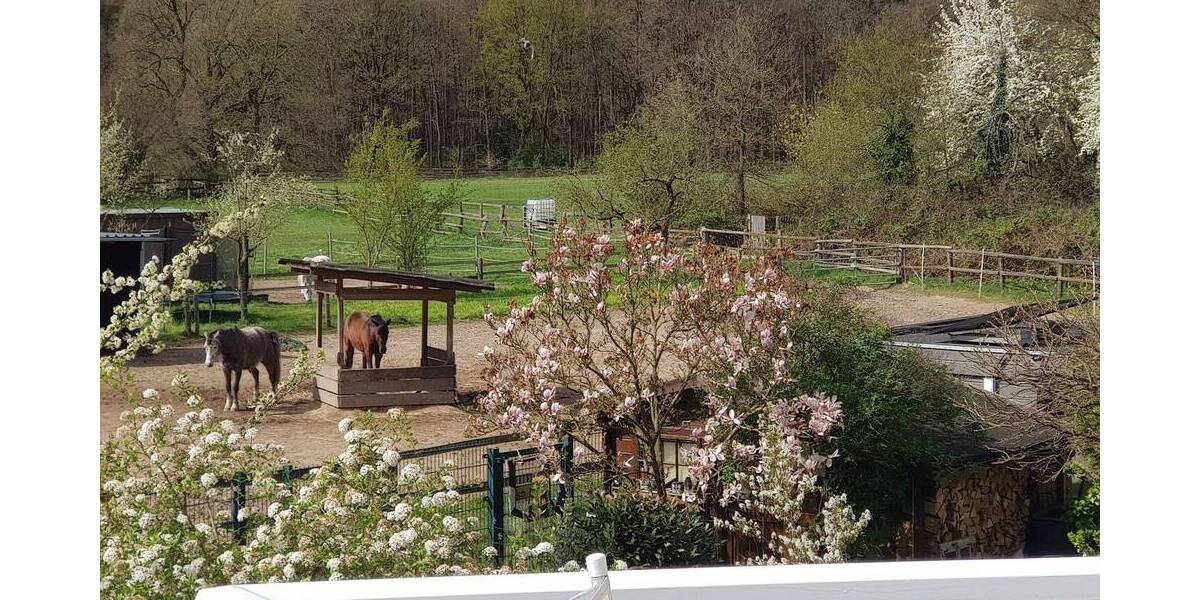 Etagenwohnung Dreieich Dreieichenhain - 4 Zimmer, 144 m&sup2;, 2.000&euro; | Angebot:26628835