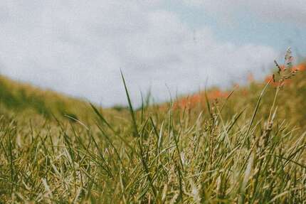 Grundstück Schaafheim - 250.000&euro; | Angebot:25997267