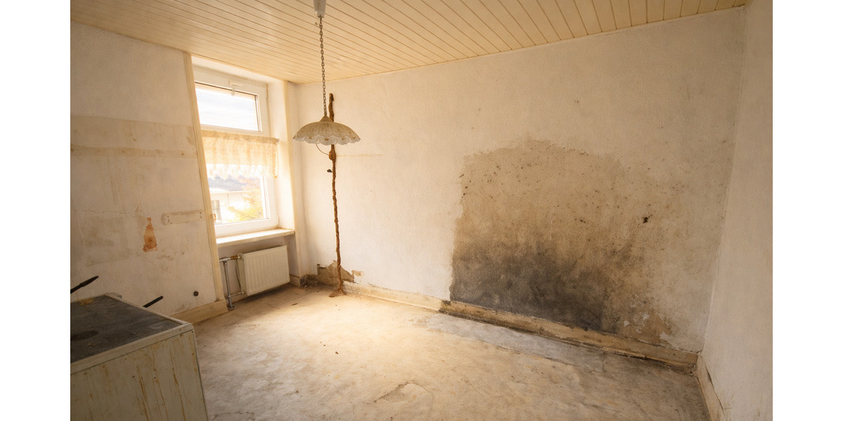 Mehrfamilienhaus, Wohnhaus Frankfurt am Main Rödelheim - 1 Zimmer, 355 m&sup2;, 1.490.000&euro; | Angebot:25729555