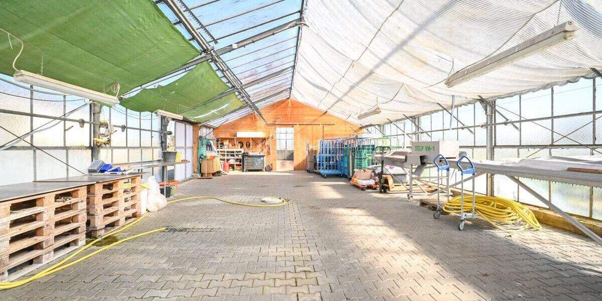 Einfamilienhaus Babenhausen Sickenhofen - 6 Zimmer, 252 m&sup2;, 1.250.000&euro; | Angebot:25693355