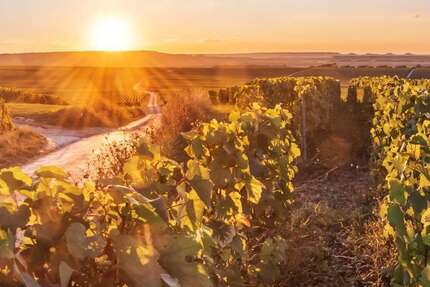 Grundstück Groß-Umstadt Umstadt - 469.500&euro; | Angebot:25835422