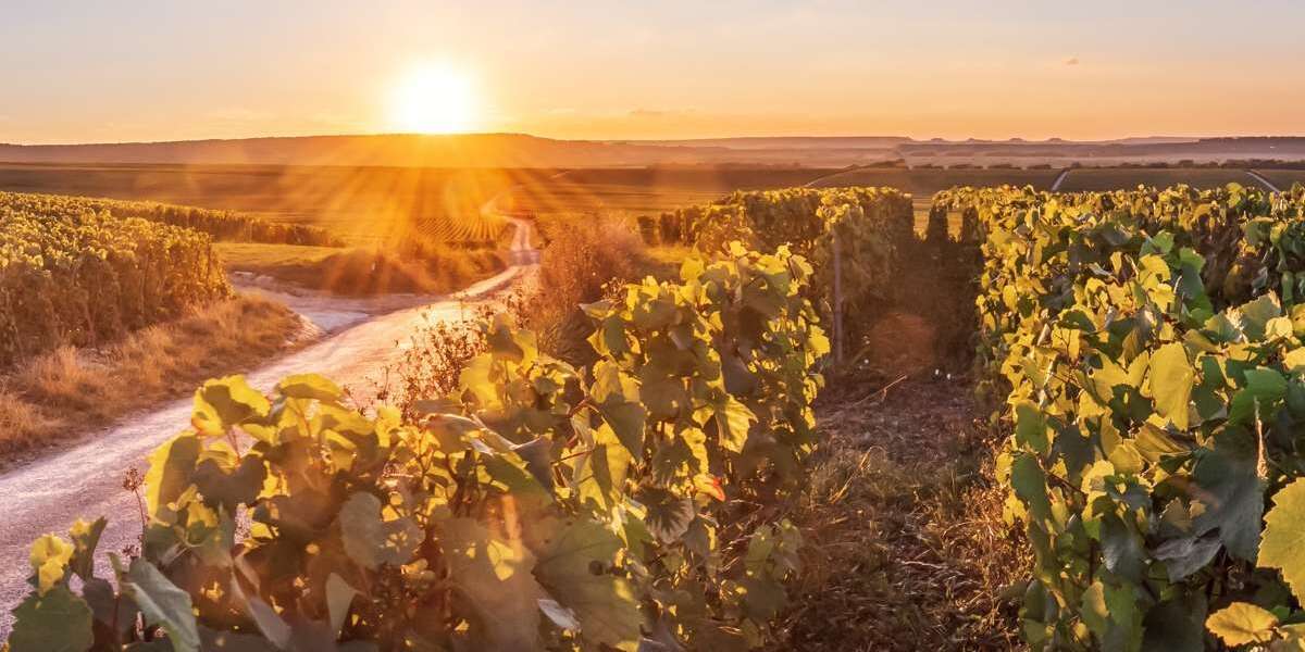 Grundstück Groß-Umstadt Umstadt - 469.500&euro; | Angebot:25835422