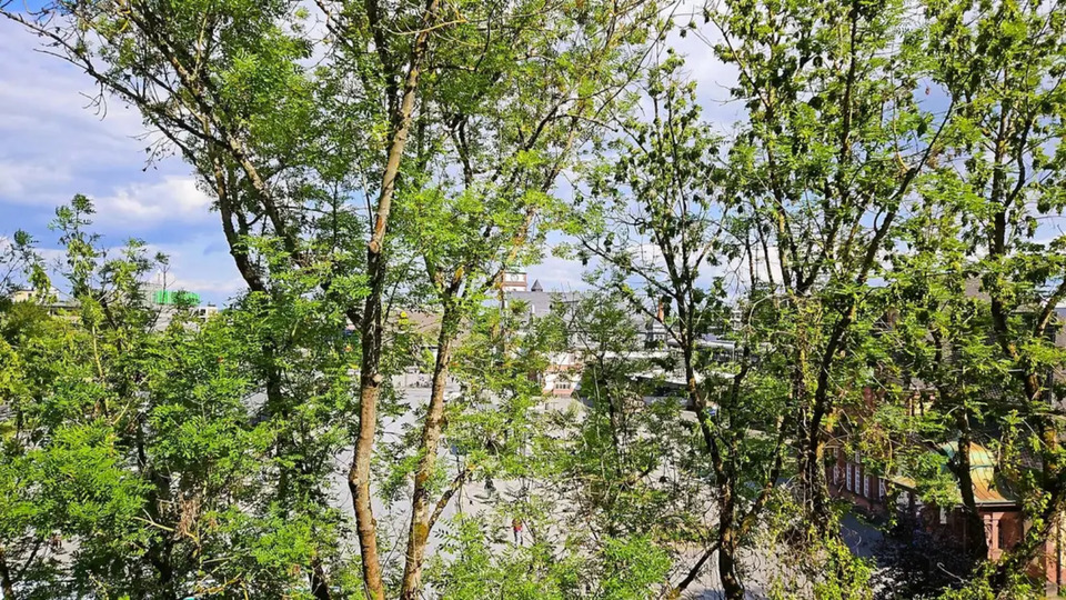 Etagenwohnung Bad Homburg vor der Höhe Gonzenheim - 2.5 Zimmer, 67 m&sup2;, 1.140&euro; | Angebot:25568228