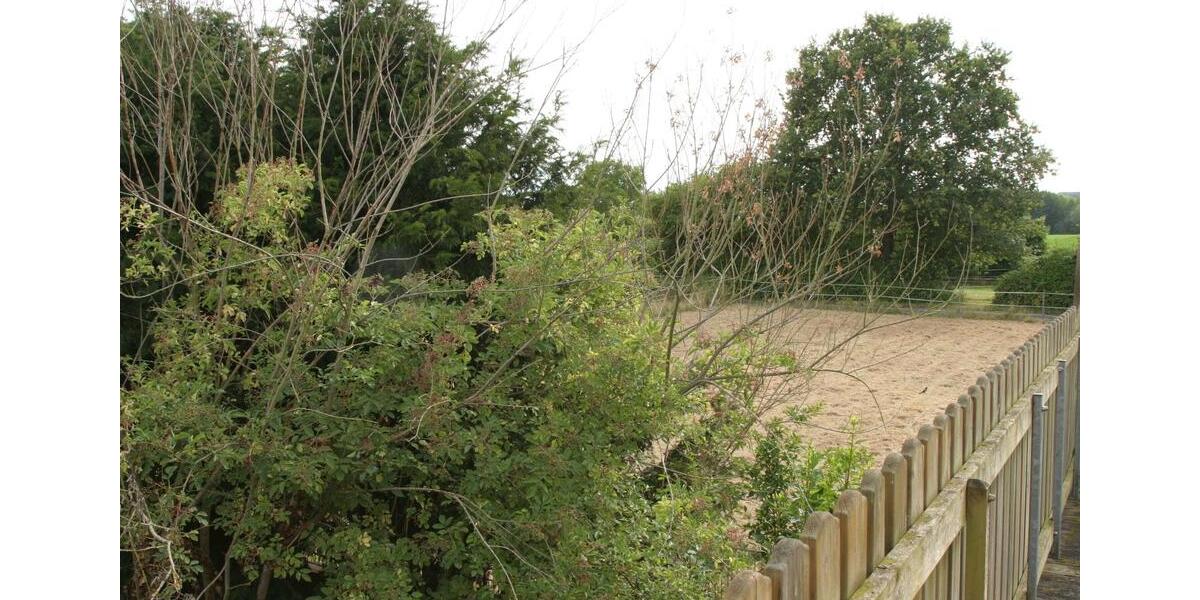 Dachgeschoßwohnung Altenstadt - 2 Zimmer, 640&euro; | Angebot:23456777