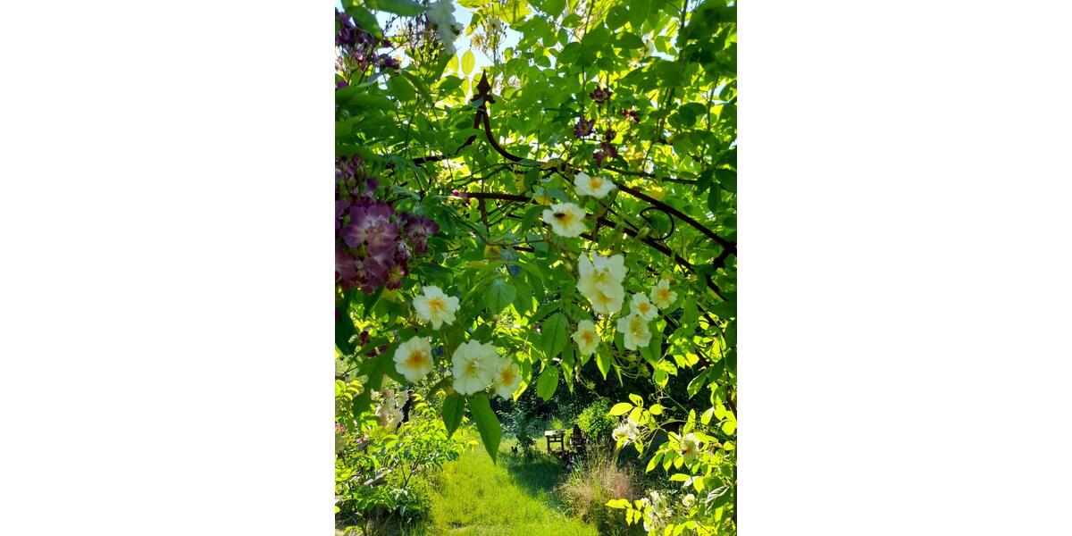 Einfamilienhaus Büdingen - 8 Zimmer, 174 m&sup2;, 375.000&euro; | Angebot:25394715