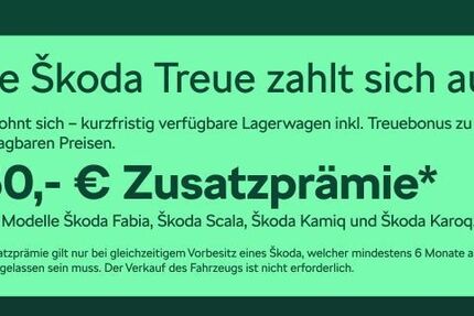 Skoda Kamiq 4.500 km 22.480 &euro; Frankfurt 60435
