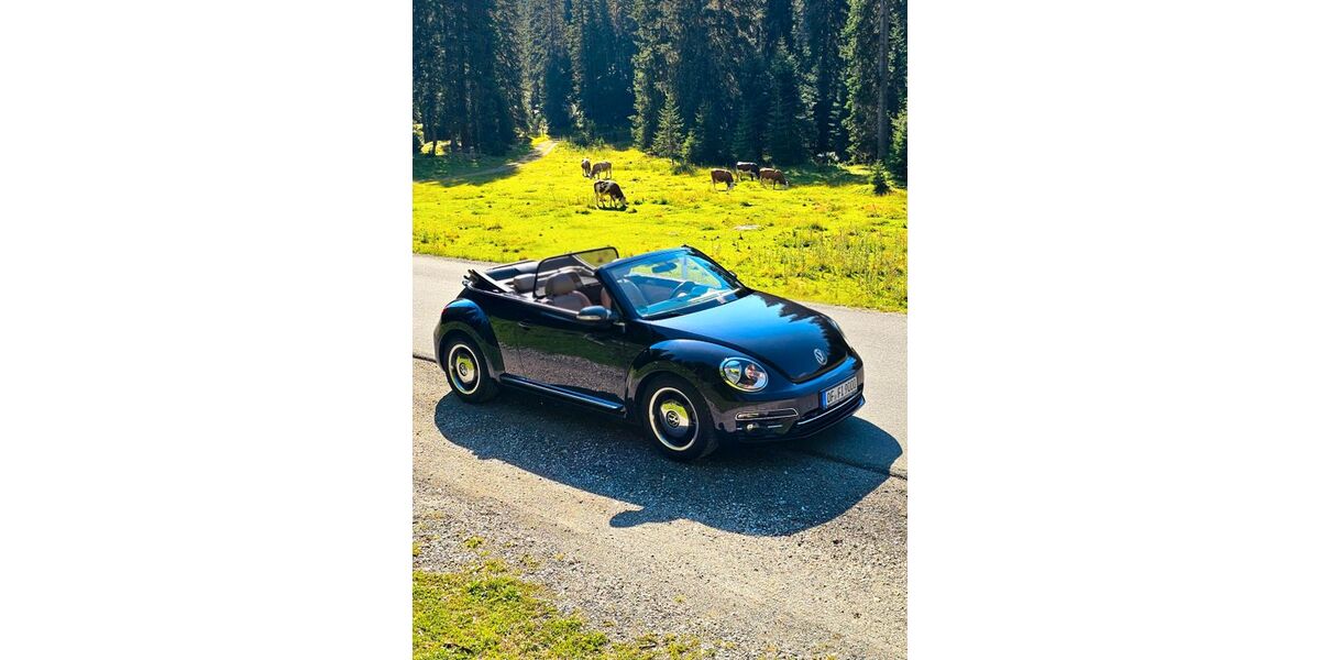 VW Beetle 55.642 km 23.900 &euro; Egelsbach 63329