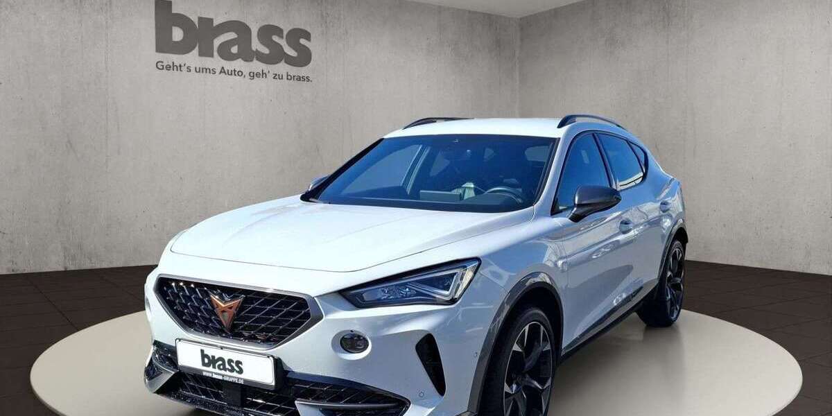 Cupra Formentor 65.114 km 29.450 &euro; Alzenau 63755