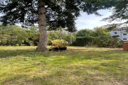 Gewerbeobjekt Kelsterbach - 1.500&euro; | Angebot:21799554