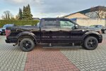 Ford F 150 Harley Davidson Edition 142.800 km 16.890 &euro; Rodgau 63110