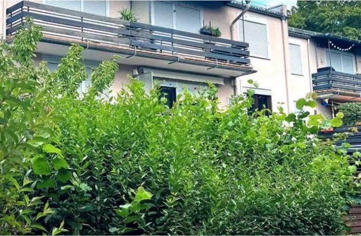 Etagenwohnung Bad Homburg vor der Höhe Gonzenheim - 3 Zimmer, 70 m&sup2;, 265.000&euro; | Angebot:26488366