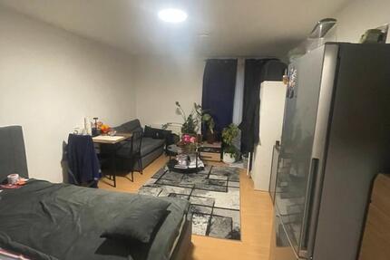 Wohnung Offenbach am Main Hafen - 1 Zimmer, 30 m&sup2;, 750&euro; | Angebot:25917381