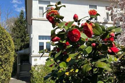 Wohnung Bad Homburg Berliner Siedlung/Gartenfeld - 2 Zimmer, 69 m&sup2;, 1.050&euro; | Angebot:26015550