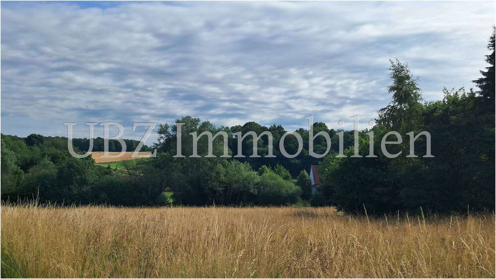 Einfamilienhaus Alzenau - 5 Zimmer, 178 m&sup2;, 560.000&euro; | Angebot:24803106