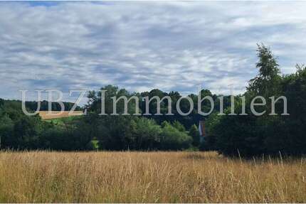 Haus Alzenau - 5 Zimmer, 178 m&sup2;, 560.000&euro; | Angebot:24803106