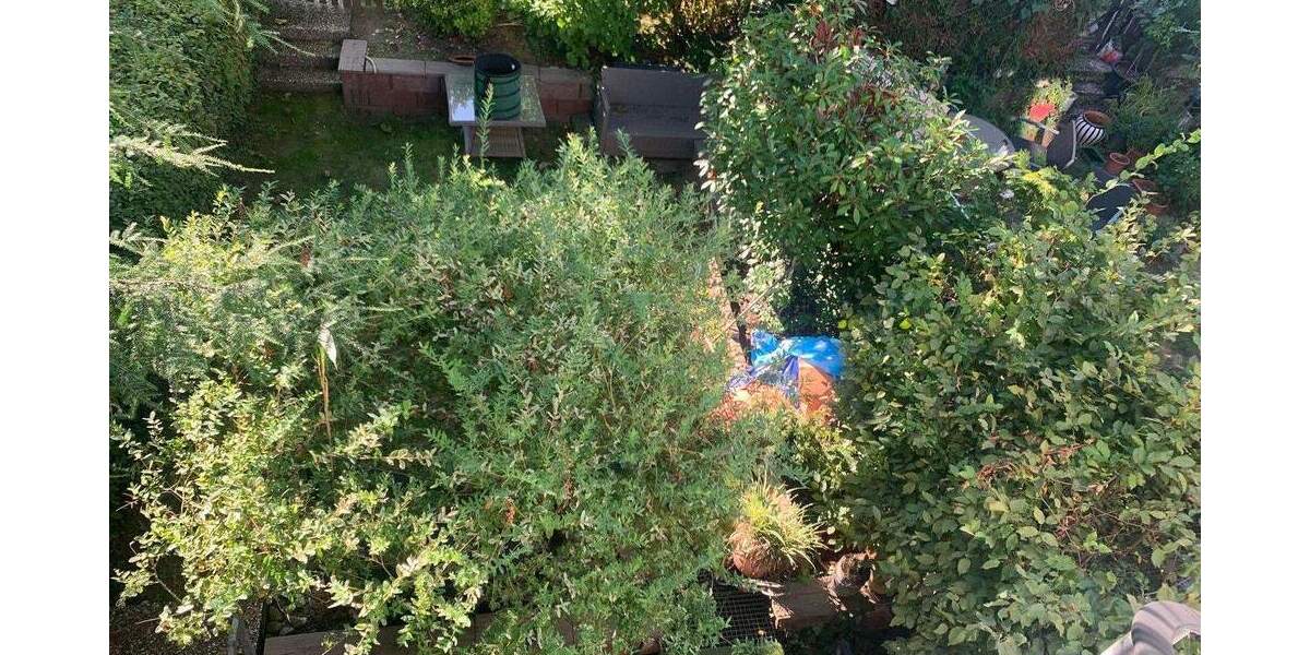 Reihenmittelhaus Neu-Isenburg Isenburg - 6 Zimmer, 163 m&sup2;, 685.000&euro; | Angebot:25778545