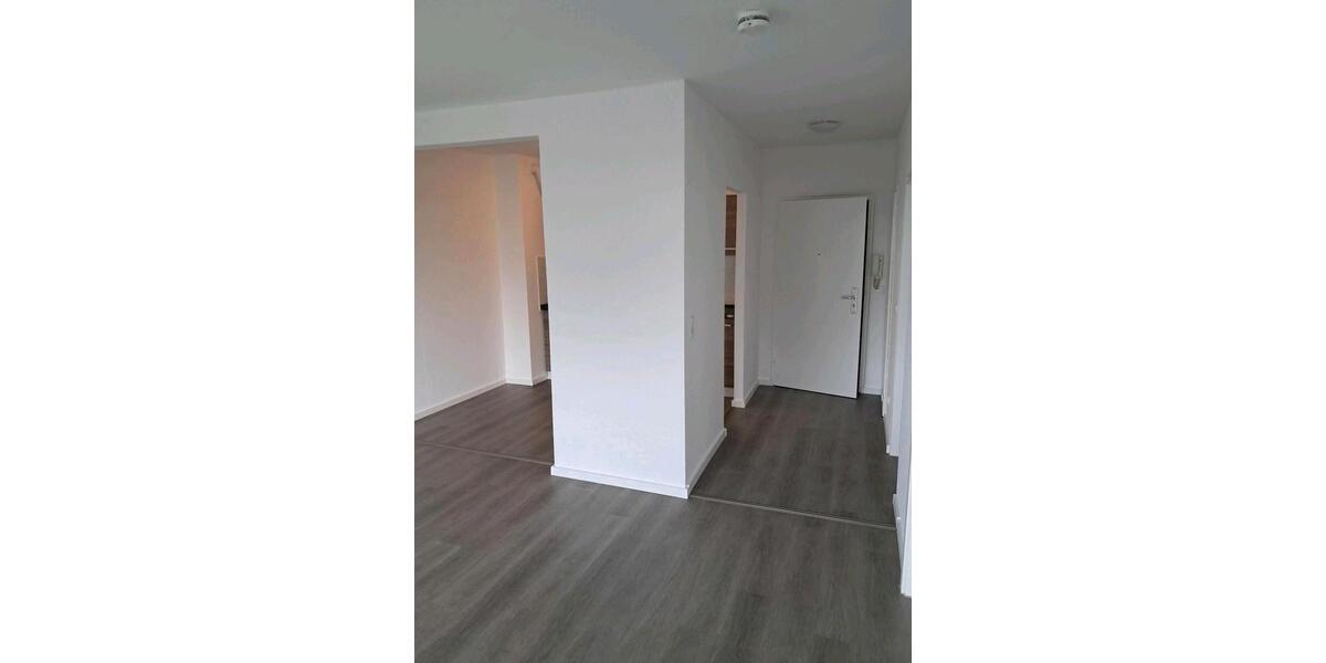 Etagenwohnung Frankfurt am Main Sachsenhausen Süd - 1 Zimmer, 55 m&sup2;, 1.050&euro; | Angebot:25945203