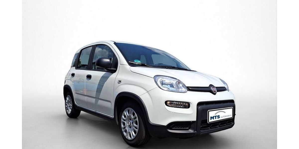 Fiat Panda 12.000 km 12.460 &euro; Oberursel 61440